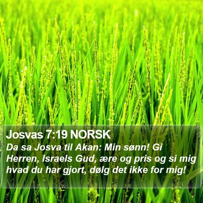 Josvas 7:19 NORSK Bible Verse Image