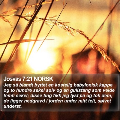 Josvas 7:21 NORSK Bible Verse Image
