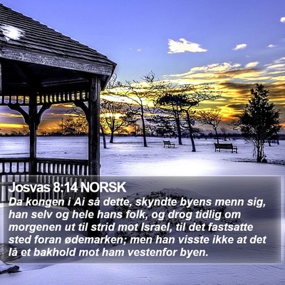 Josvas 8:14 NORSK Bible Verse Image