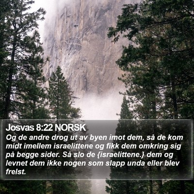 Josvas 8:22 NORSK Bible Verse Image