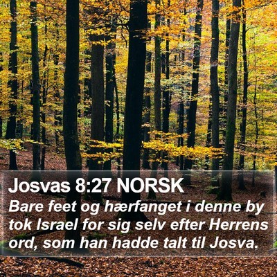 Josvas 8:27 NORSK Bible Verse Image