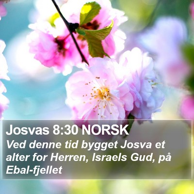 Josvas 8:30 NORSK Bible Verse Image