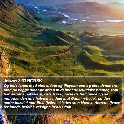 Josvas 8:33 NORSK Bible Verse Image