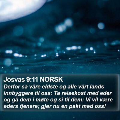 Josvas 9:11 NORSK Bible Verse Image