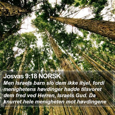 Josvas 9:18 NORSK Bible Verse Image