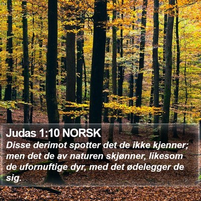 Judas 1:10 NORSK Bible Verse Image