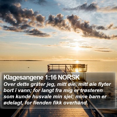 Klagesangene 1:16 NORSK Bible Verse Image