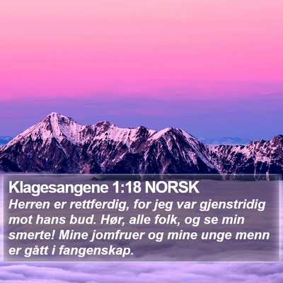 Klagesangene 1:18 NORSK Bible Verse Image