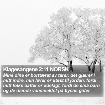 Klagesangene 2:11 NORSK Bible Verse Image
