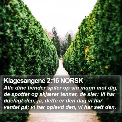 Klagesangene 2:16 NORSK Bible Verse Image