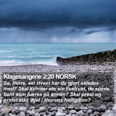 Klagesangene 2:20 NORSK Bible Verse Image