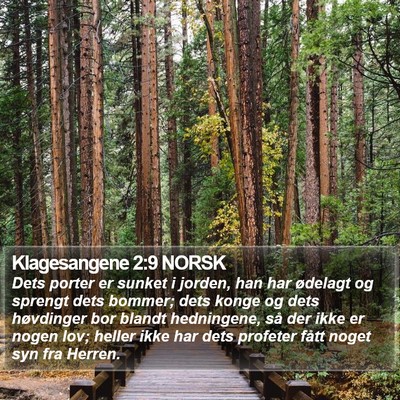 Klagesangene 2:9 NORSK Bible Verse Image