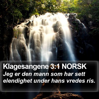 Klagesangene 3:1 NORSK Bible Verse Image