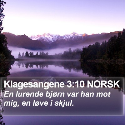 Klagesangene 3:10 NORSK Bible Verse Image