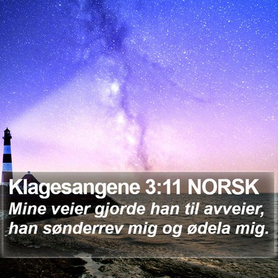 Klagesangene 3:11 NORSK Bible Verse Image