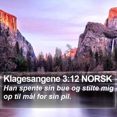 Klagesangene 3:12 NORSK Bible Verse Image