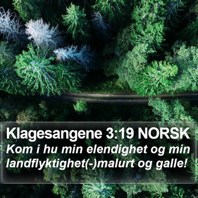 Klagesangene 3:19 NORSK Bible Verse Image