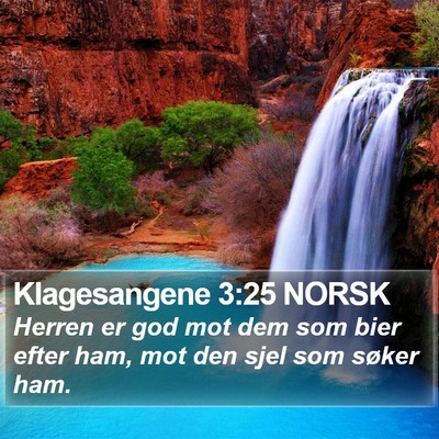 Klagesangene 3:25 NORSK Bible Verse Image