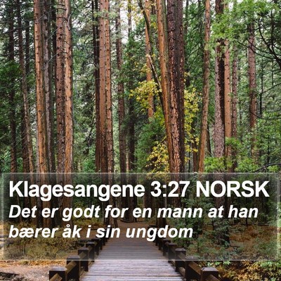 Klagesangene 3:27 NORSK Bible Verse Image