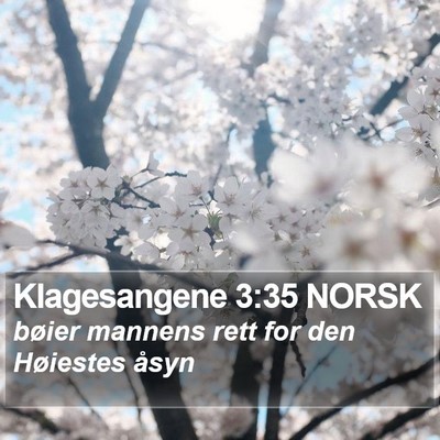 Klagesangene 3:35 NORSK Bible Verse Image