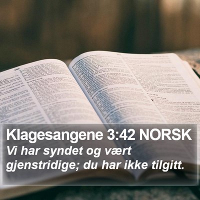 Klagesangene 3:42 NORSK Bible Verse Image