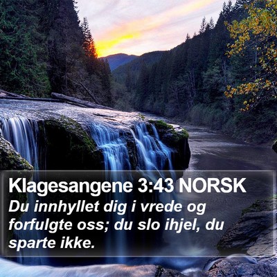 Klagesangene 3:43 NORSK Bible Verse Image