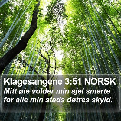Klagesangene 3:51 NORSK Bible Verse Image