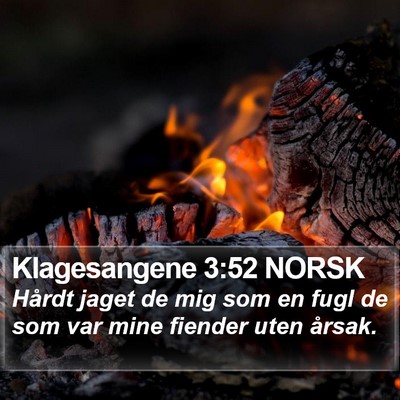 Klagesangene 3:52 NORSK Bible Verse Image