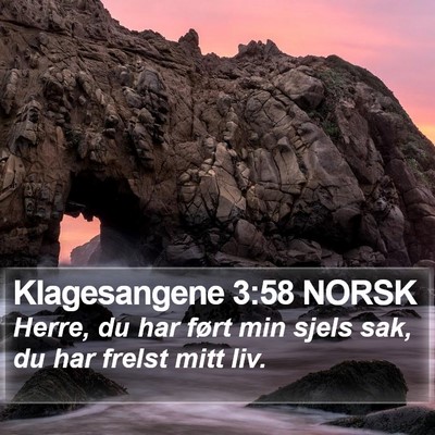 Klagesangene 3:58 NORSK Bible Verse Image