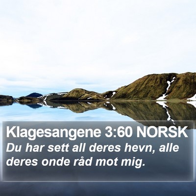 Klagesangene 3:60 NORSK Bible Verse Image