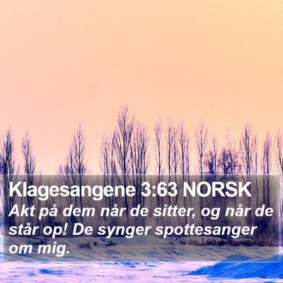 Klagesangene 3:63 NORSK Bible Verse Image