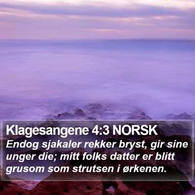 Klagesangene 4:3 NORSK Bible Verse Image