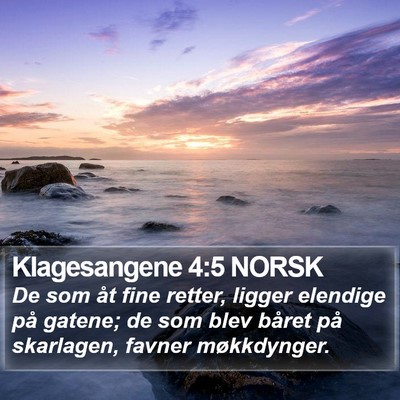 Klagesangene 4:5 NORSK Bible Verse Image