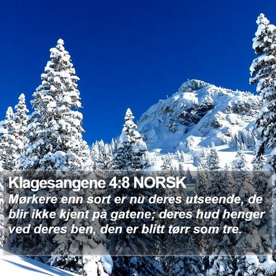 Klagesangene 4:8 NORSK Bible Verse Image