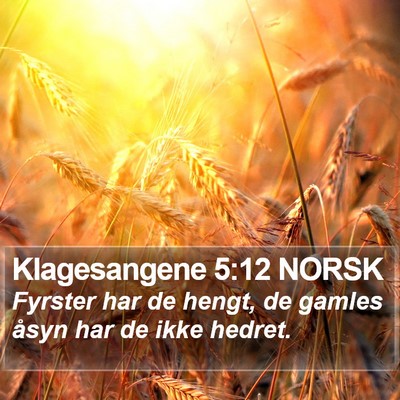Klagesangene 5:12 NORSK Bible Verse Image