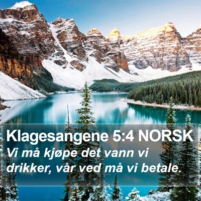 Klagesangene 5:4 NORSK Bible Verse Image