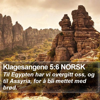 Klagesangene 5:6 NORSK Bible Verse Image