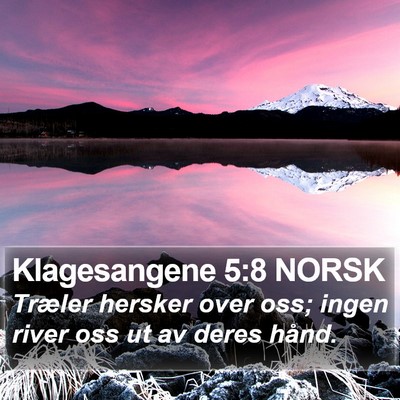 Klagesangene 5:8 NORSK Bible Verse Image