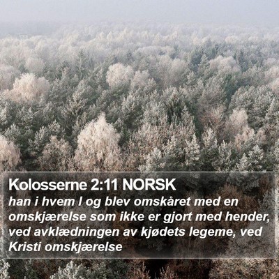 Kolosserne 2:11 NORSK Bible Verse Image