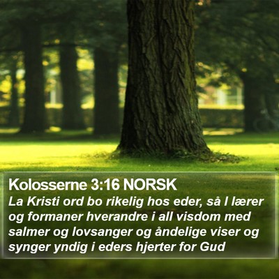 Kolosserne 3:16 NORSK Bible Verse Image