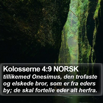 Kolosserne 4:9 NORSK Bible Verse Image