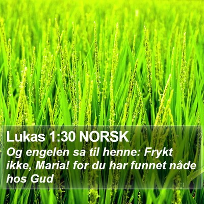 Lukas 1:30 NORSK Bible Verse Image