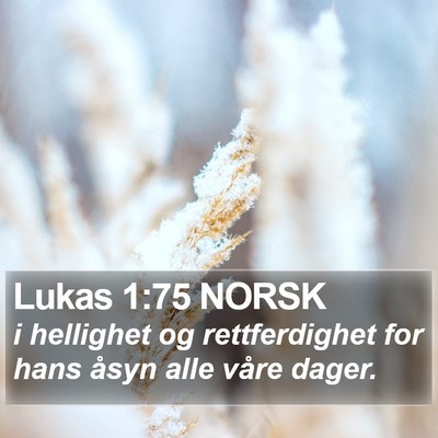 Lukas 1:75 NORSK Bible Verse Image