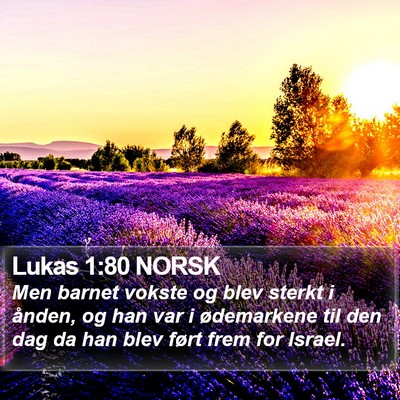 Lukas 1:80 NORSK Bible Verse Image