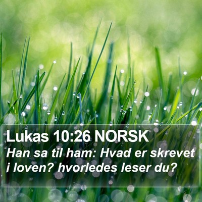 Lukas 10:26 NORSK Bible Verse Image