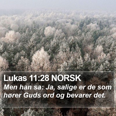 Lukas 11:28 NORSK Bible Verse Image