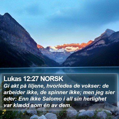 Lukas 12:27 NORSK Bible Verse Image