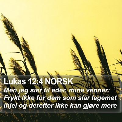 Lukas 12:4 NORSK Bible Verse Image