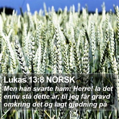 Lukas 13:8 NORSK Bible Verse Image