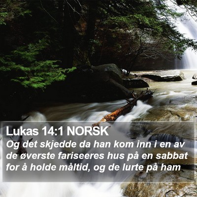 Lukas 14:1 NORSK Bible Verse Image